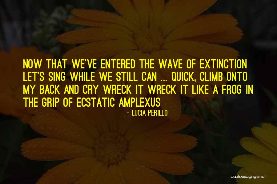 The Frog Quotes By Lucia Perillo The Frog Quotes By Lucia Perillo