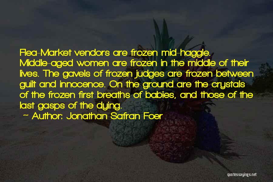 The Frozen Ground Quotes By Jonathan Safran Foer