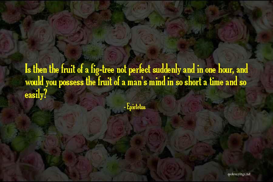 The Fruit Of The Mind Quotes By Epictetus The Fruit Of The Mind Quotes By Epictetus