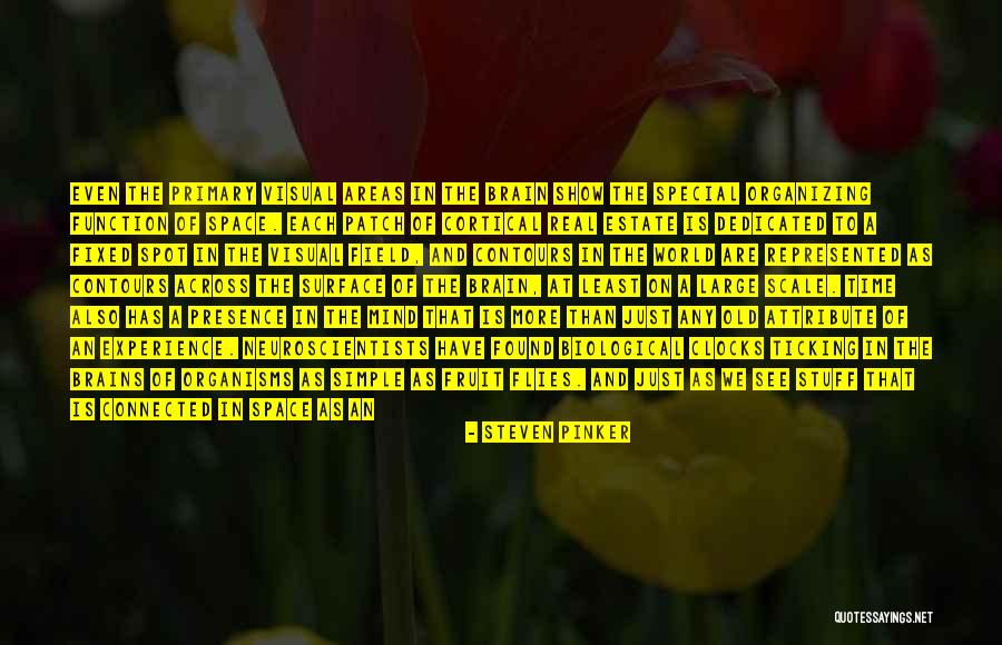 The Fruit Of The Mind Quotes By Steven Pinker The Fruit Of The Mind Quotes By Steven Pinker