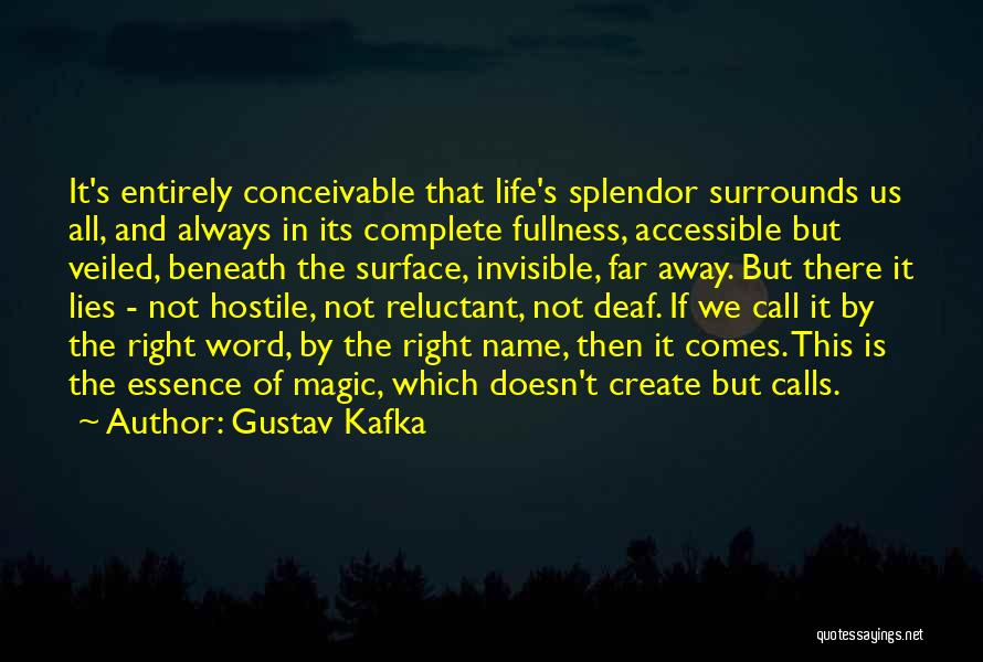 The Fullness Of Life Quotes By Gustav Kafka