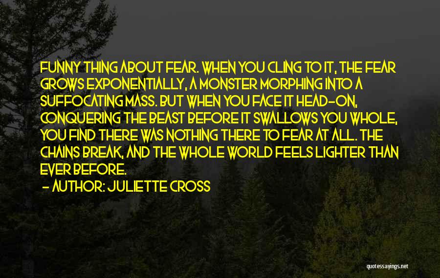 The Funny Face Quotes By Juliette Cross