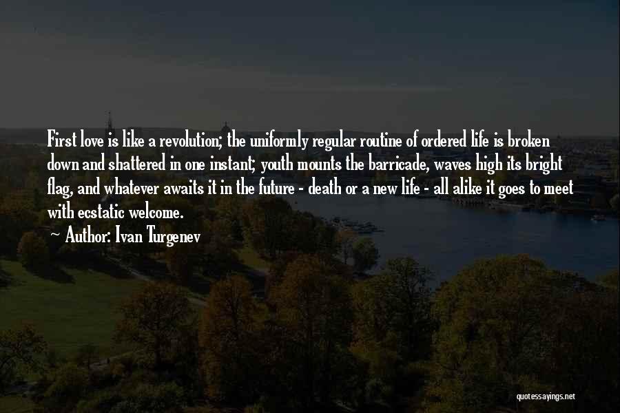 The Future And Youth Quotes By Ivan Turgenev
