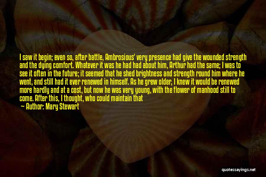 The Future And Youth Quotes By Mary Stewart