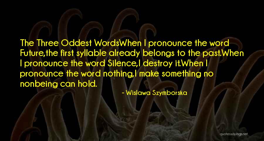 The Future Belongs To Quotes By Wislawa Szymborska The Future Belongs To Quotes By Wislawa Szymborska