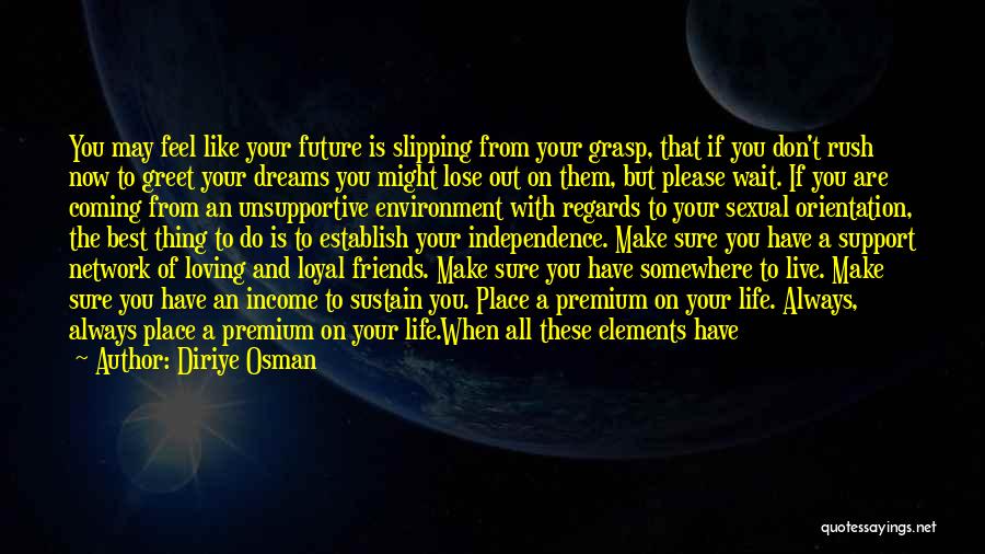 The Future Dreams Quotes By Diriye Osman