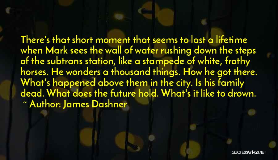 The Future Hold Quotes By James Dashner