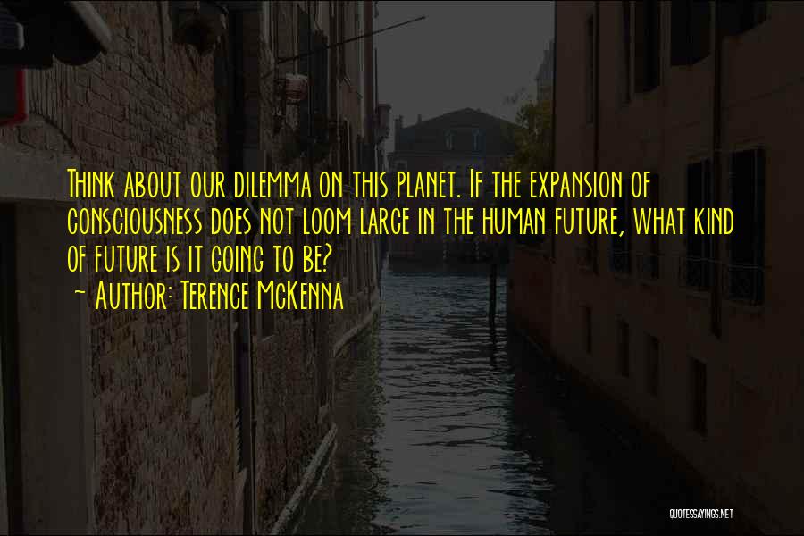 The Future Of Our Planet Quotes By Terence McKenna