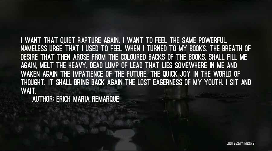 The Future Of Youth Quotes By Erich Maria Remarque