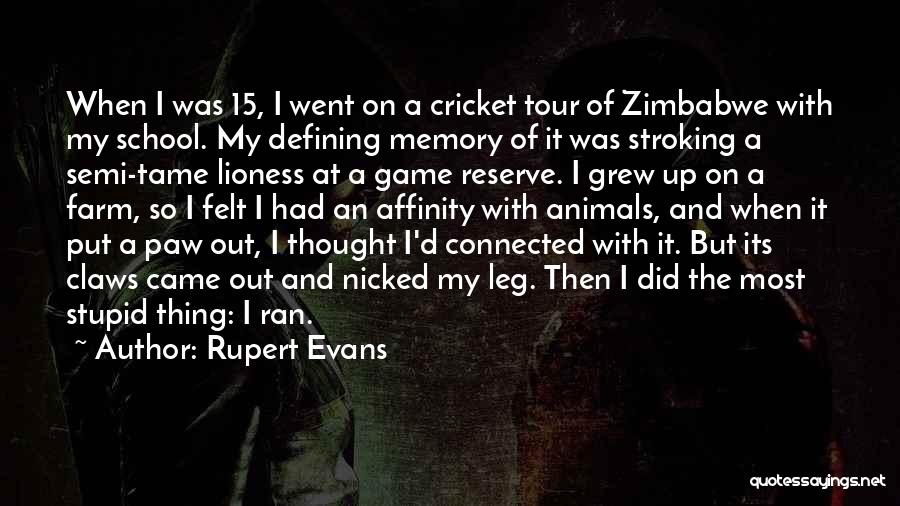 The Game Of Cricket Quotes By Rupert Evans