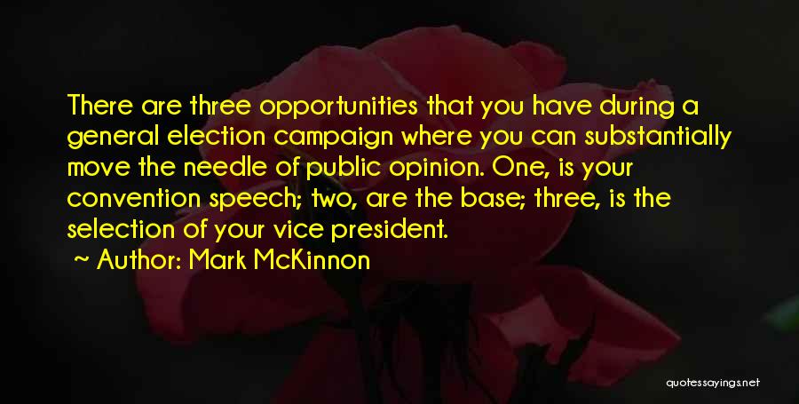 The General Election Quotes By Mark McKinnon