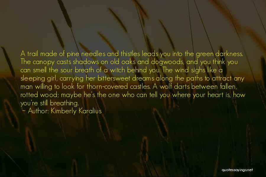 The Girl Of Your Dreams Quotes By Kimberly Karalius