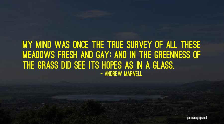 The Glass Quotes By Andrew Marvell The Glass Quotes By Andrew Marvell