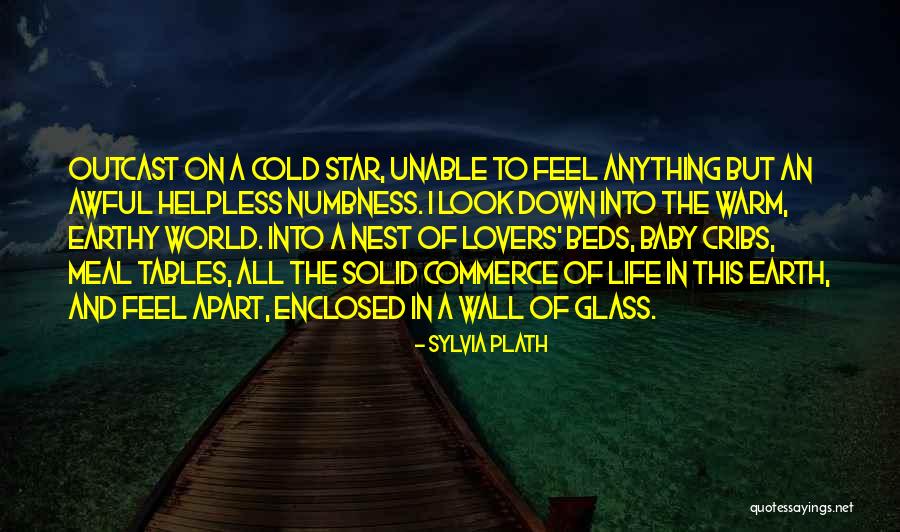 The Glass Quotes By Sylvia Plath The Glass Quotes By Sylvia Plath