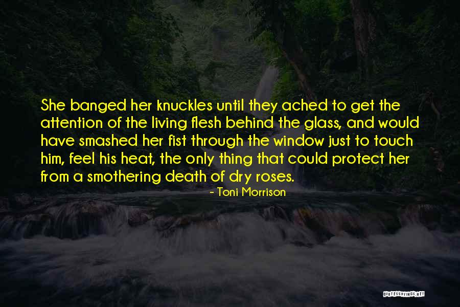The Glass Quotes By Toni Morrison The Glass Quotes By Toni Morrison