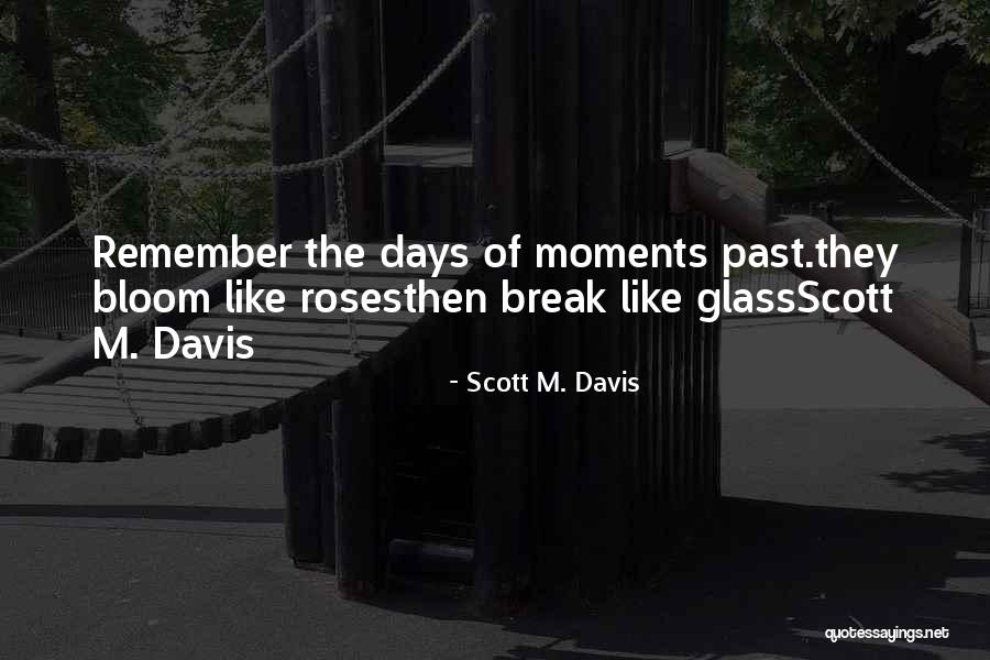 The Glass Roses Quotes By Scott M. Davis