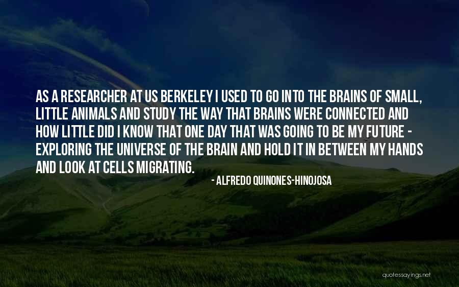 The Go Between Quotes By Alfredo Quinones-Hinojosa