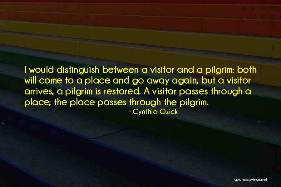 The Go Between Quotes By Cynthia Ozick