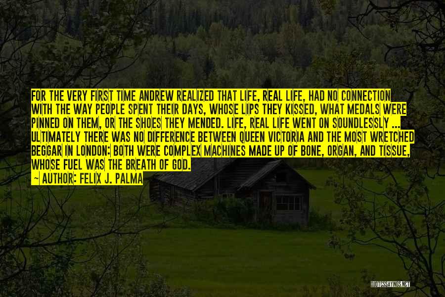 The God Complex Quotes By Felix J. Palma