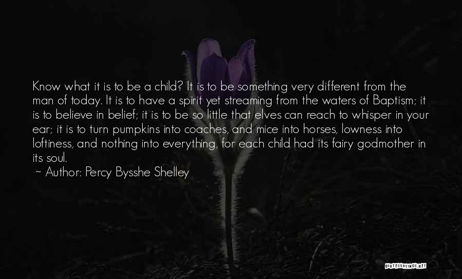 The Godmother Quotes By Percy Bysshe Shelley