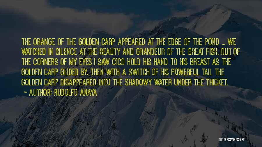 The Golden Carp Quotes By Rudolfo Anaya