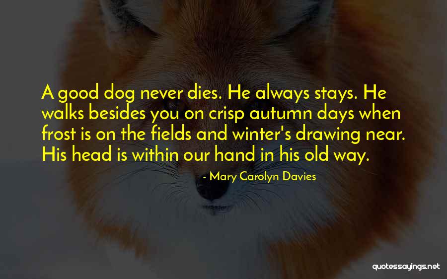 The Good Days Quotes By Mary Carolyn Davies The Good Days Quotes By Mary Carolyn Davies