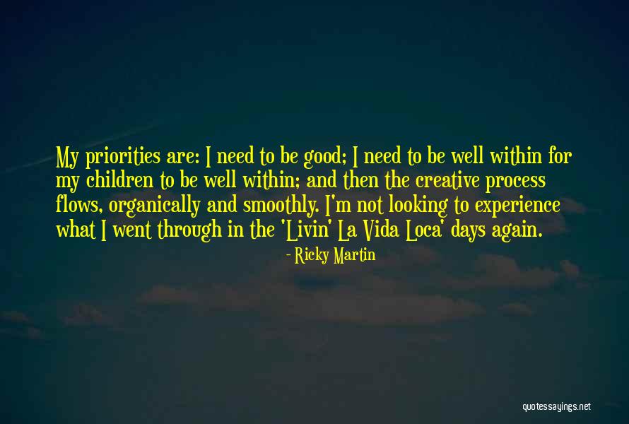 The Good Days Quotes By Ricky Martin The Good Days Quotes By Ricky Martin