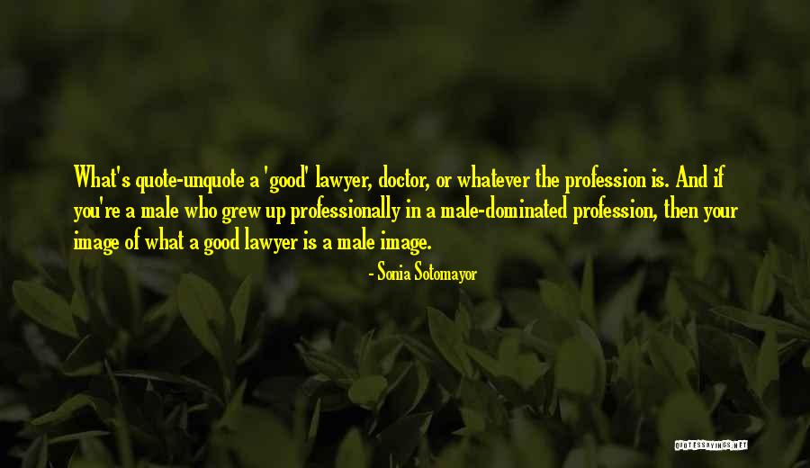 The Good Doctor Quotes By Sonia Sotomayor The Good Doctor Quotes By Sonia Sotomayor