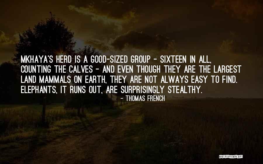 The Good Land Quotes By Thomas French The Good Land Quotes By Thomas French