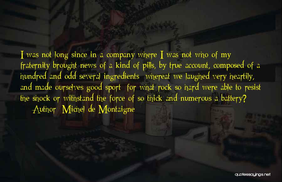 The Good News Quotes By Michel De Montaigne