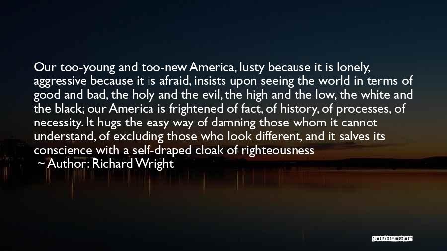 The Good Of America Quotes By Richard Wright