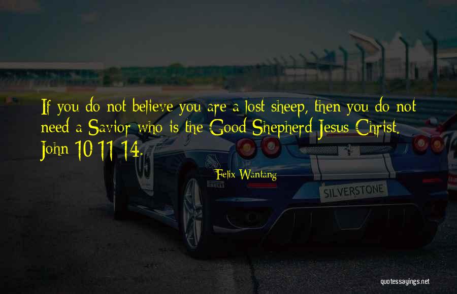 The Good Shepherd Bible Quotes By Felix Wantang