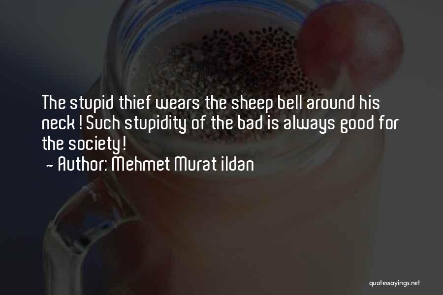 The Good Thief Quotes By Mehmet Murat Ildan