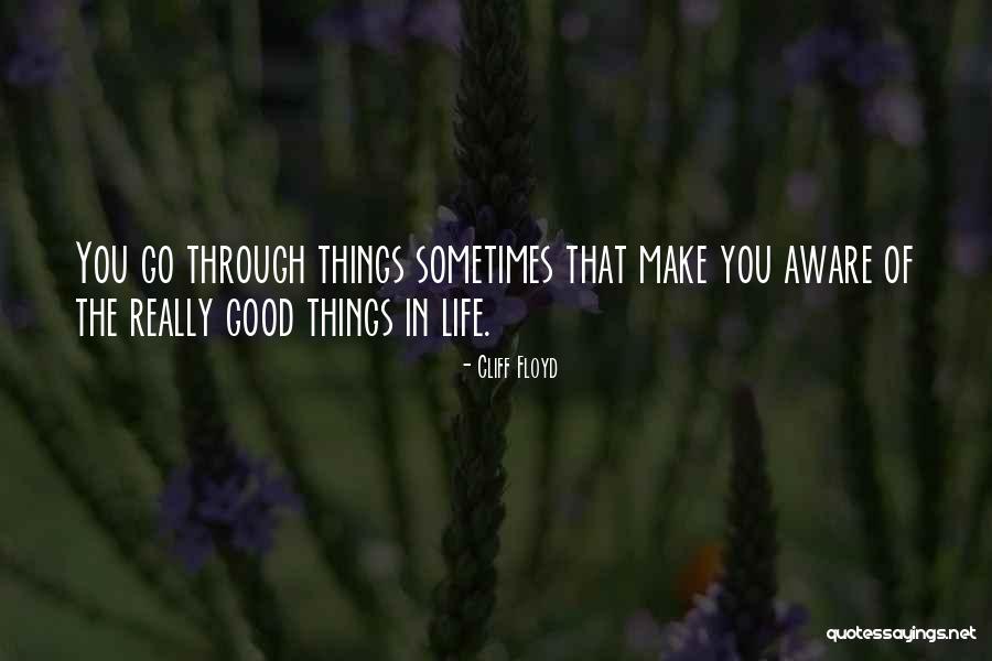 The Good Things In Life Quotes By Cliff Floyd