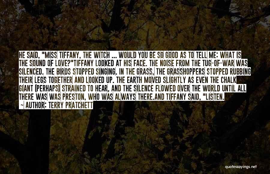 The Good Witch Quotes By Terry Pratchett