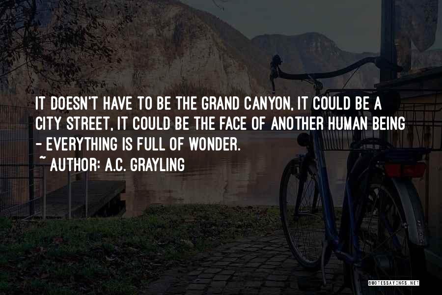 The Grand Canyon Quotes By A.C. Grayling