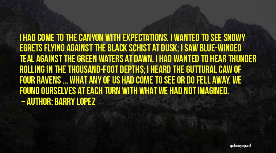 The Grand Canyon Quotes By Barry Lopez