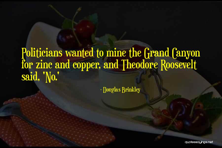 The Grand Canyon Theodore Roosevelt Quotes By Douglas Brinkley