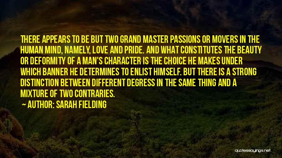 The Grand Master Quotes By Sarah Fielding