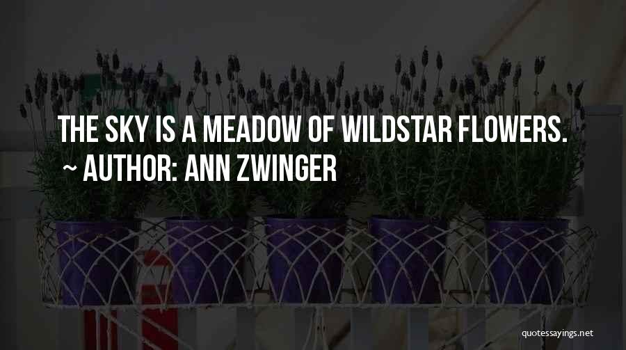 The Grand Quotes By Ann Zwinger