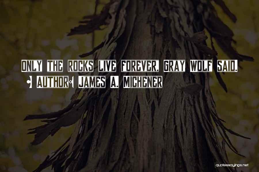 The Gray Wolf Quotes By James A. Michener