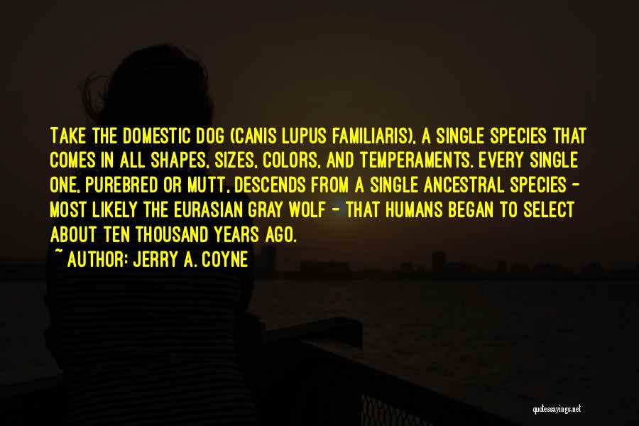 The Gray Wolf Quotes By Jerry A. Coyne