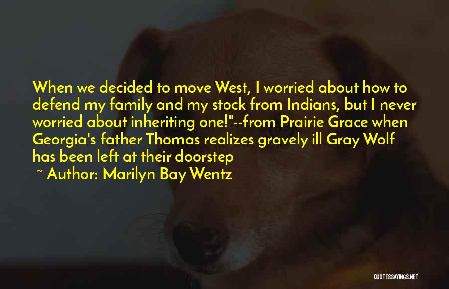 The Gray Wolf Quotes By Marilyn Bay Wentz