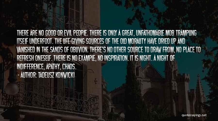 The Great Good Place Quotes By Tadeusz Konwicki