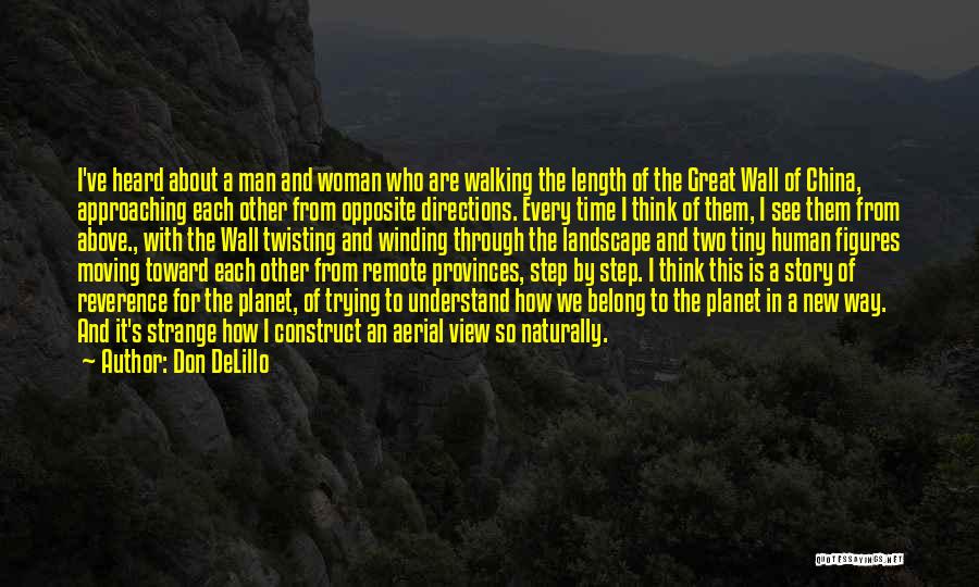 The Great Wall Of China Quotes By Don DeLillo