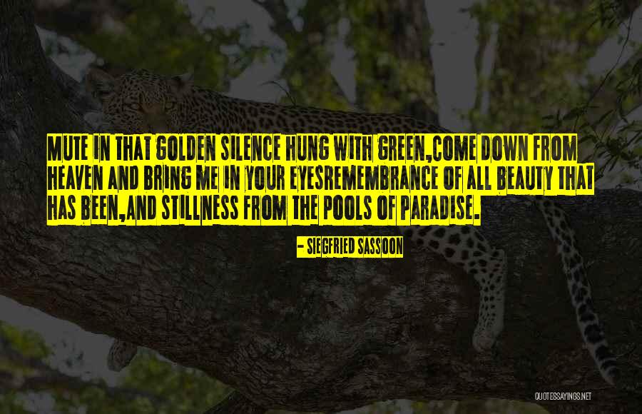The Great War Quotes By Siegfried Sassoon The Great War Quotes By Siegfried Sassoon