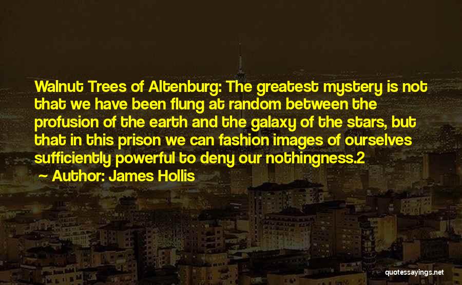 The Greatest Prison Quotes By James Hollis