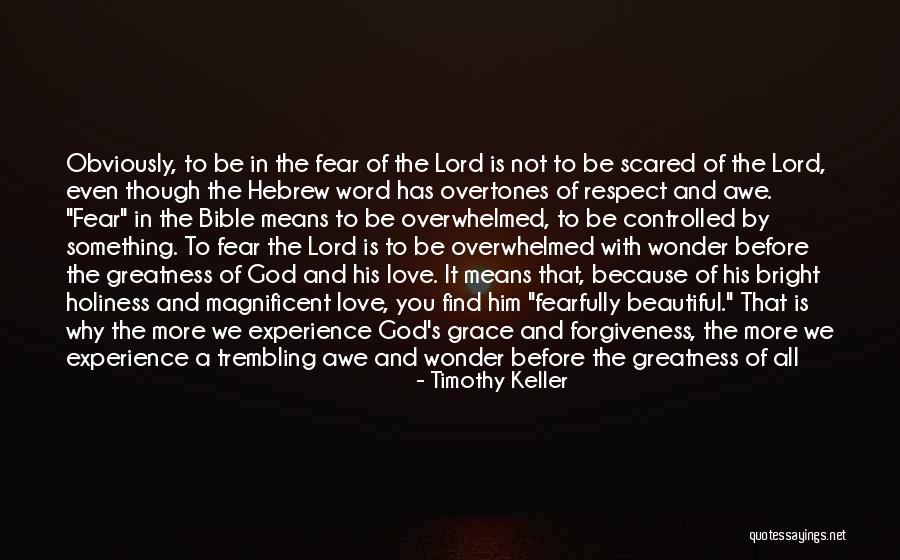 The Greatness Of God Quotes By Timothy Keller