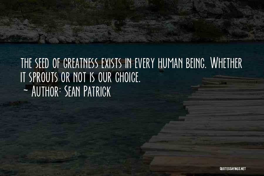 The Greatness Quotes By Sean Patrick