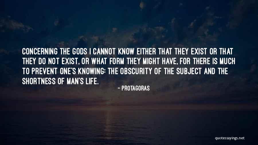 The Greek Gods Quotes By Protagoras